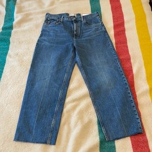 Everlane Way-High Jean 31